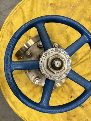 Newco W43OR 3” 300 Threaded Gate Valve