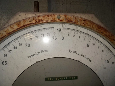 75Kg Busch Scale Type 2001