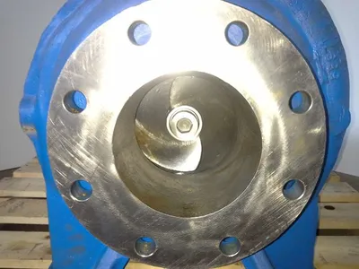 USED Goulds 3175