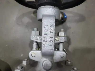 2" Class 300 Gate Valve B16.34
