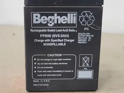 USED BEGHELLI FP650