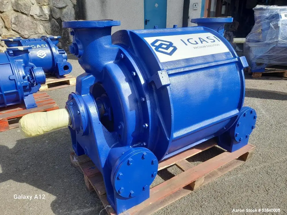 Used Igasi IG2002 Vacuum Pumps Illinois US | Aaron Equipment #84013