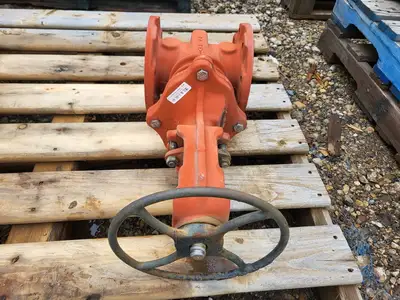 4" Gate Valve R2365, 250 PSI