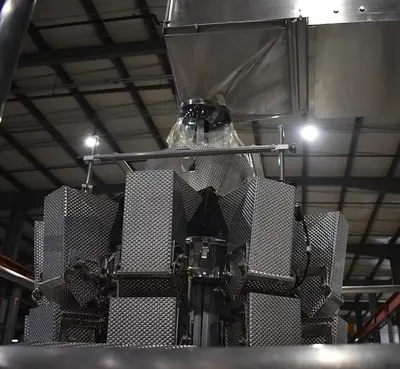 Apai bagger with 10 head scale