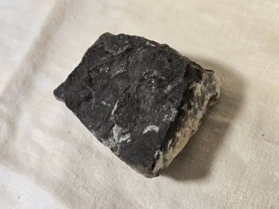 Fossilized Orthoceras (?) Specimen in Rock Matrix