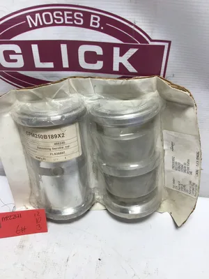 FLOWSERVE LINING-PLAIN BEARING (CPM250B189X2)