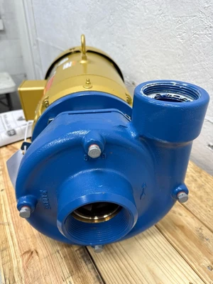 Goulds _UNKNOWN_ Other Pumps | Fram Fram LLC (6)