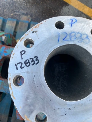 USED Goulds 3175S