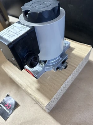 NEW Dungs 217439