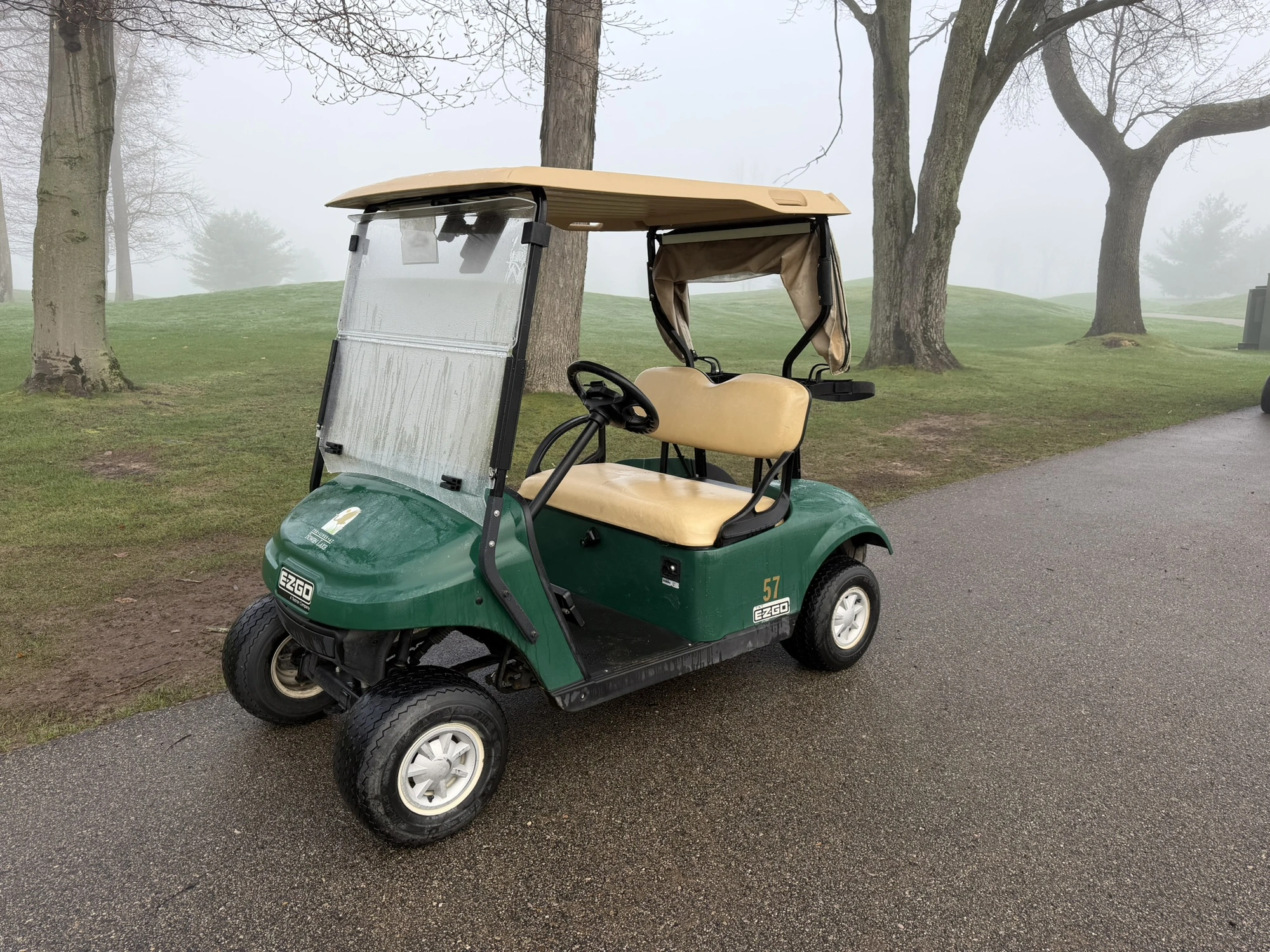 (1) 2017 E-Z-Go golf cart with a Kawasaki gas engine, model 625111G01, includes canopy, ball cover, ...