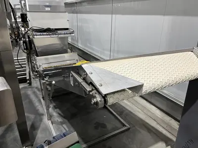 Scalloped Belt Incline Conveyor with Hopper