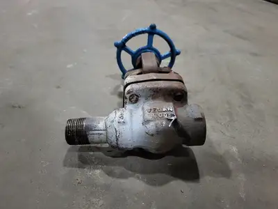 3/4" Class 800 Gate Valve B16.34
