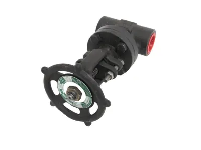 NEW FLOWSERVE 12111 GATE VALVE 1"