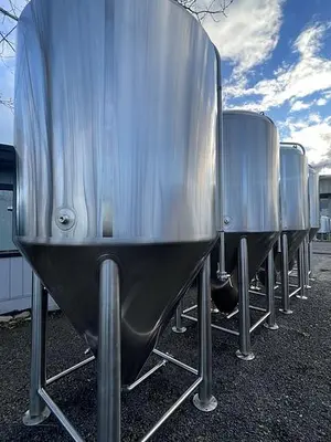 NEW STOCK BSV 30 BBL FERMENTER