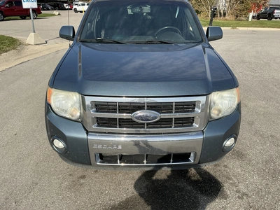 Used 2010 FORD ESCAPE Utility Vehicles Michigan US | Miedema Asset Management Group #1732718