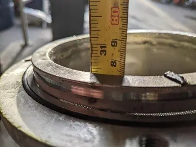 Inline Strainer