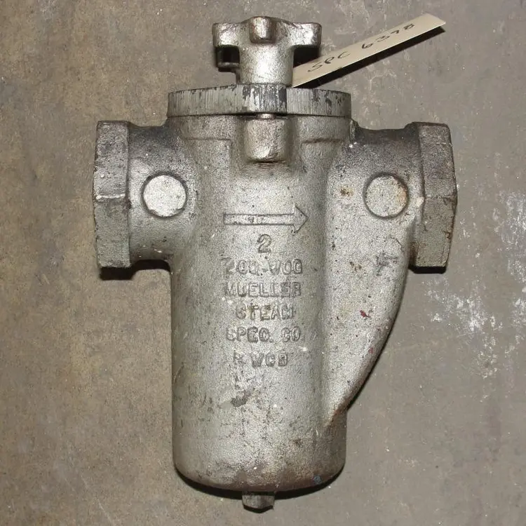 Used MUELLER _UNKNOWN_ Inline Basket Filters Kentucky US | Special Projects International #166011