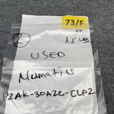 Used Numatics P2AK-30A2C-CLP2 Pneumatic Cylinders California US | Davliegogo LLC #1705752