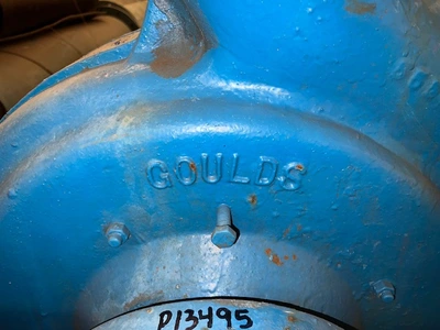 USED Goulds 3175