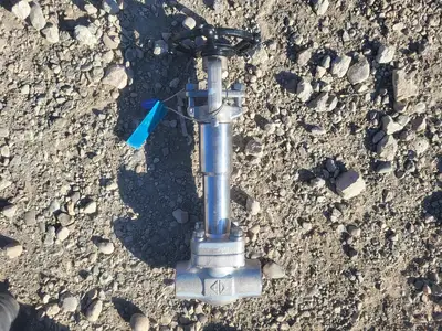3/4" Class 1500 Gate Valve API 602