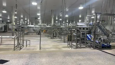 Used MAREL GRADING LINE Food Production Lines Illinois US | M&M Equipment Corp. #1538103