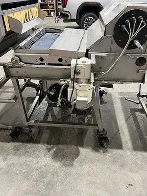 USED WECO / WEIGHRIGHT / A&B BERRYTEK TWO-VIEW COLOR/SOFT SORTER