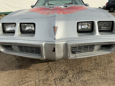 Used 1979 PONTIAC TRANS-AM Classic Cars & Trucks Michigan US | Miedema Asset Management Group #1484147