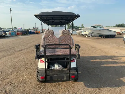 Used 2026 SDLANCH HQ100 Golf Carts Michigan US | Miedema Asset Management Group #1334644