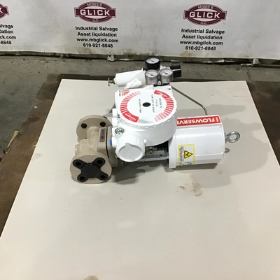 Flowserve K39-5028-TV – MK1 Globe Control Valve w/Pneumatic Actuator & Digital Valve Positioner