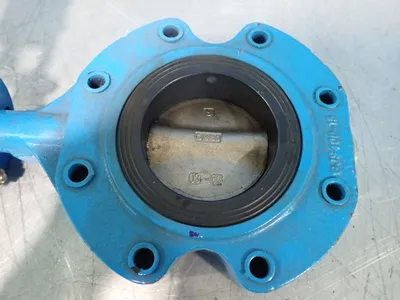 Erhard Armaturen  Butterfly Valve Assembly