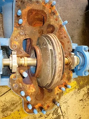 USED Goulds 3316