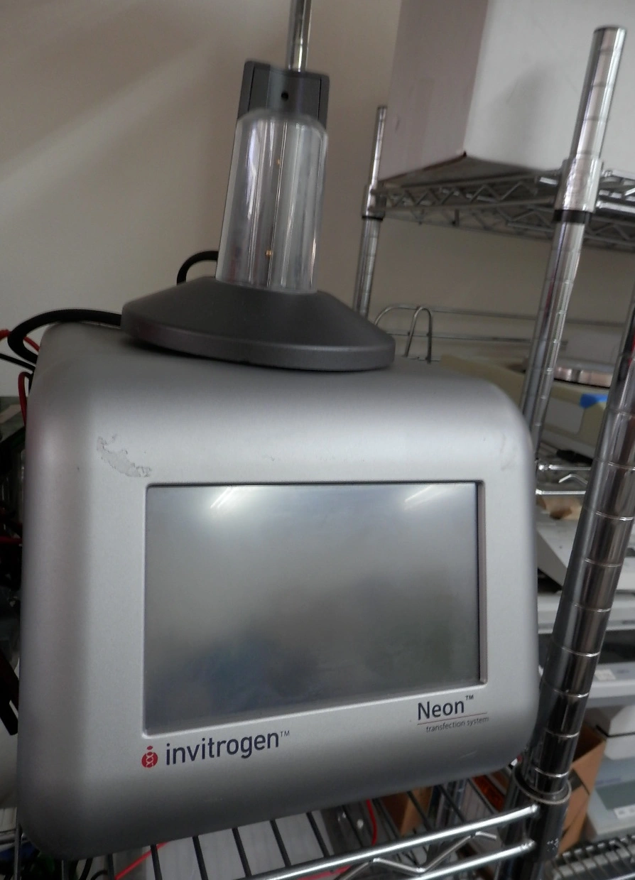 Used THERMO MPK5000 Electrophoresis California US | Biotech Equipment Sales #1464469