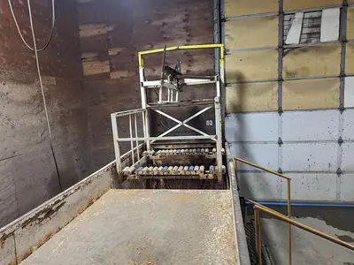 Pumpkin Squash Inspection & Cleaning Line