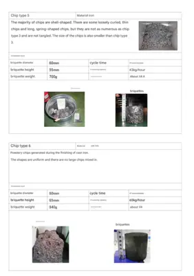 CHIP EATER CE52A-90 Briquetters | Alan Ross Machinery (4)