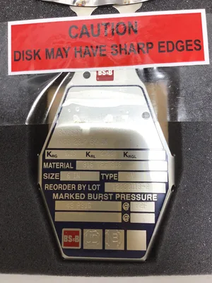 BS & B Safety Systems 6″ DV Rupture Disk 12080118-2