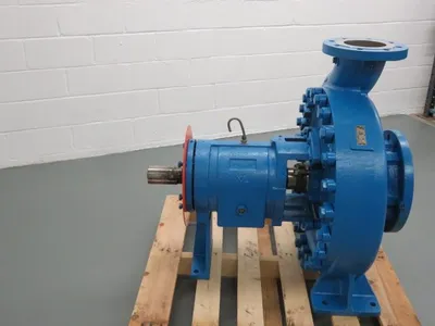 USED Goulds 3180