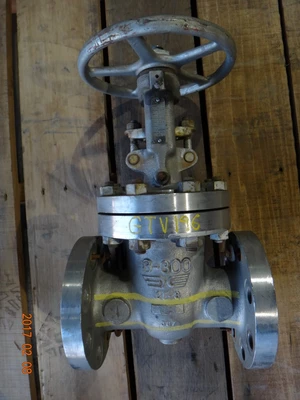 Takawasima 3", Class 300, CF8, Gate Valve