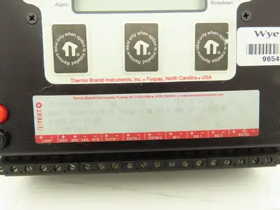Thermo Brandt MST2000 Multivariable SmartFlow Transmitter MST24000005S10P