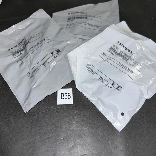 NEW Schmersal 101165998