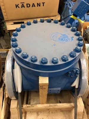 20" CL300 Weir Valves and Controls Check Valve, New Storeroom Spare