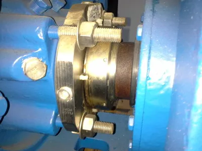 USED Goulds 3175