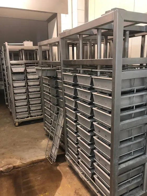 Used 2020 PSG PLUS VK-500G Meat Processing Equipment CZ | Amaron s.r.o. #1064532