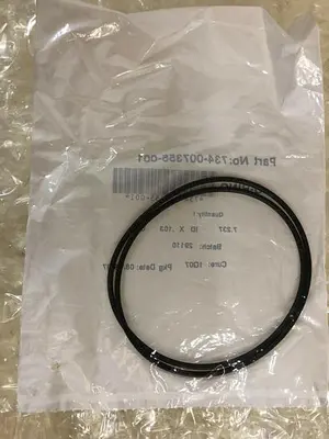 O-RING 734-007355-001