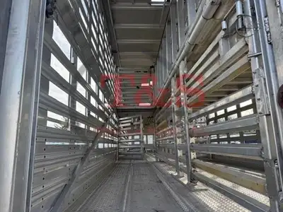 Used 2019 WILSON _UNKNOWN_ Livestock Trailers Illinois US | T&S Trailer Pool #1509468