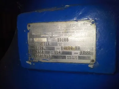 USED Goulds 3175