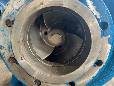 USED Goulds 3180