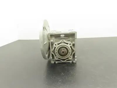 Jiangyin Guoliang NMRV040 Worm Gearbox 20:1 Reducer 75 RPM Hollow Shaft IEC 71