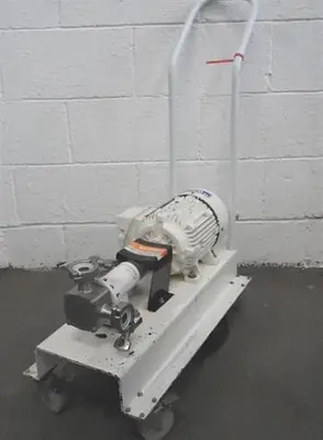 Jabsco Stainless Steel Positive Displacement Pump