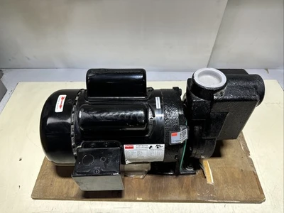 NEW Dayton 2ZXP5