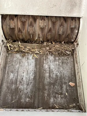 VECOPLAN, LLC RG32 XLM Shredders | Alan Ross Machinery (9)